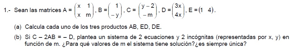 examen selectividad 2007 matemáticas aplicadas a las ciencias sociales, ejercicio uno, matrices.