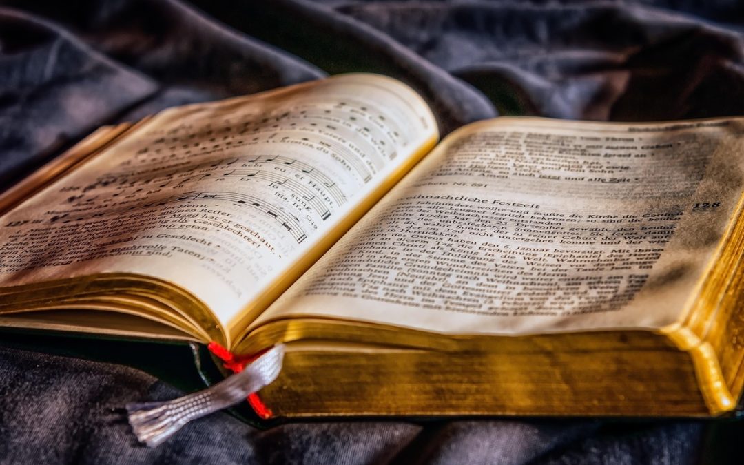 Libro, para que necesito saber que es un complemento directo