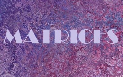 Introducción a las matrices: definiciones y tipos con ejemplos