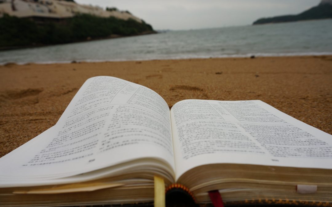 ¿Tiene sentido dar clases particulares en verano? Libro en las playa, con el mar de fondo