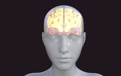 Cómo estudiar Psicobiología sin memorizar páginas y páginas